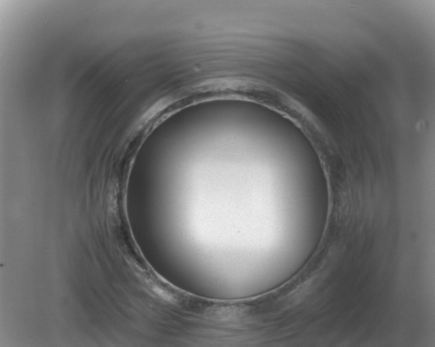 X0000081350778200701182046