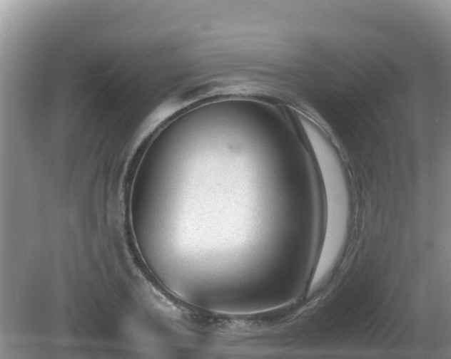 X0000081350787200701182045