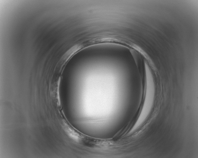 X0000081350801200701182045