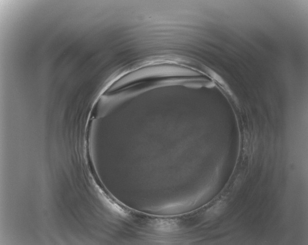 X0000081350802200701182045
