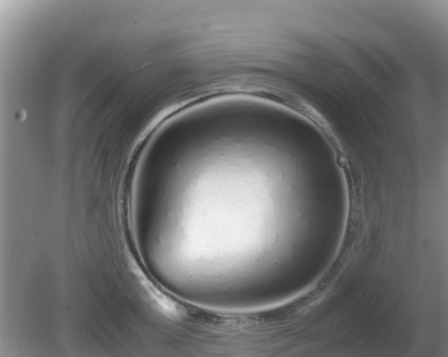 X0000081350803200701182045