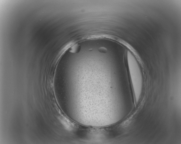 X0000081350809200701182045