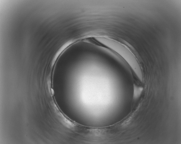 X0000081350812200701182045