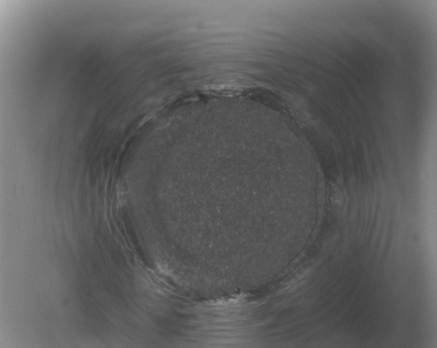 X0000081350818200701182044