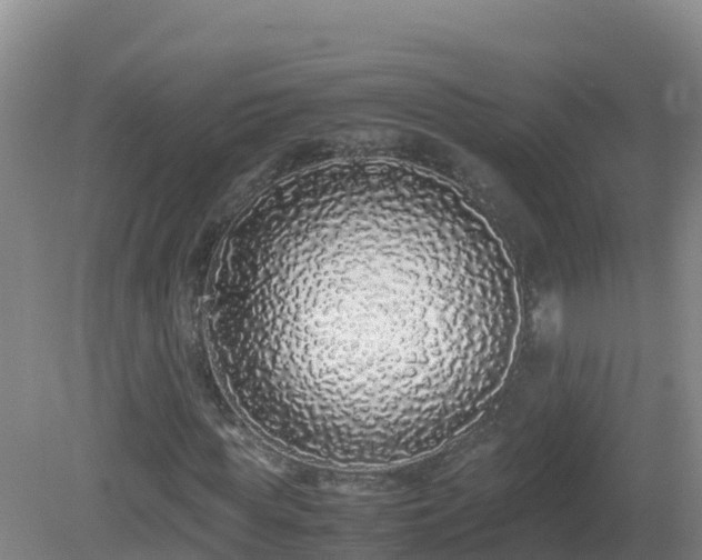 X0000081350819200701182044