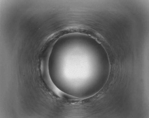 X0000081350822200701182044