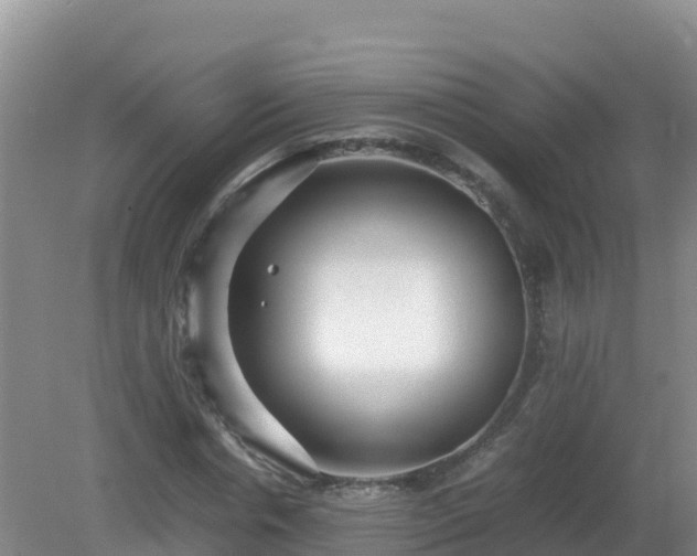 X0000081350826200701182044