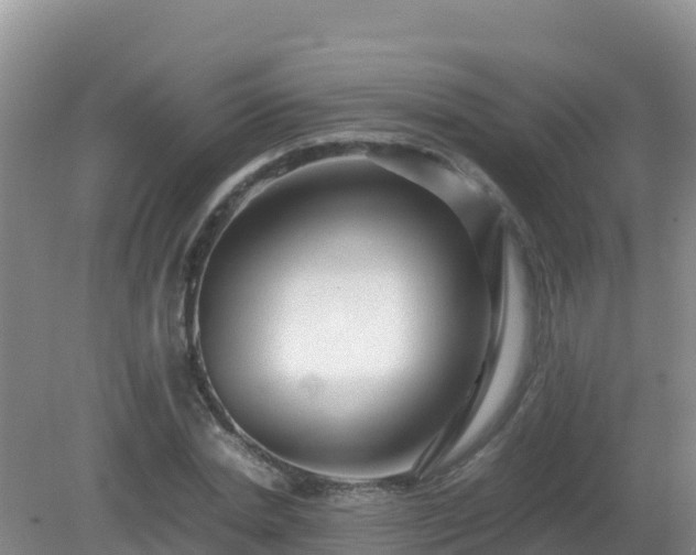 X0000081350830200701182044