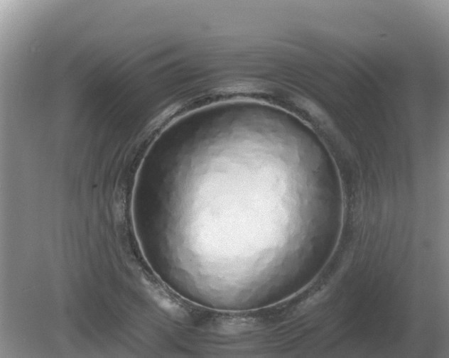 X0000081350833200701182044