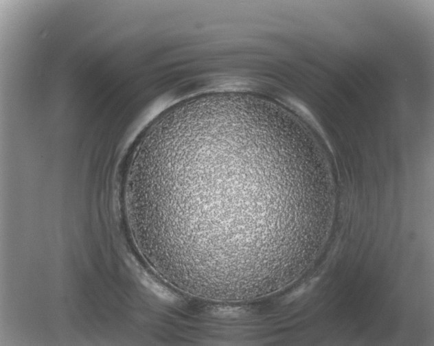 X0000081350835200701182044