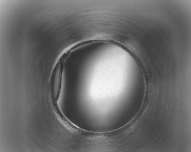 X0000081350838200701182044