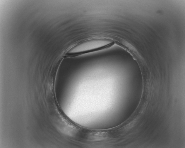 X0000081350841200701182044