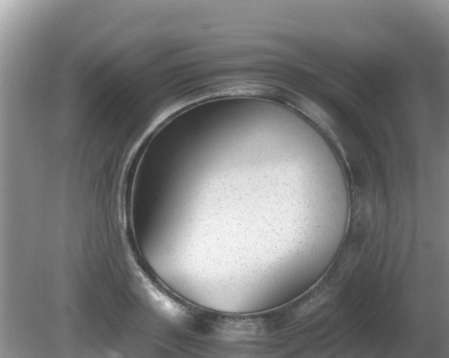 X0000081350843200701182044