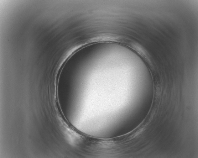 X0000081350844200701182044