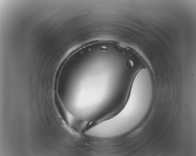 X0000081350845200701182045