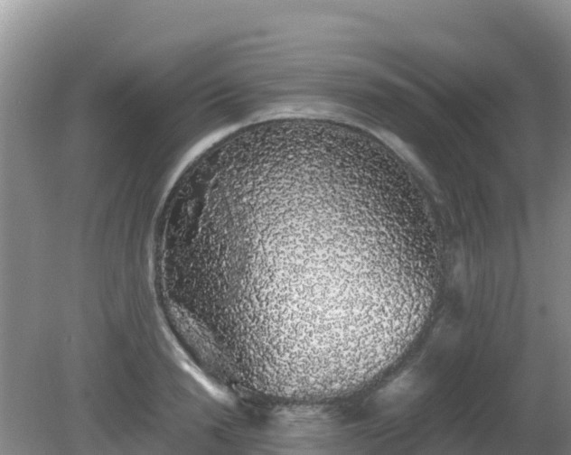 X0000081350846200701182045