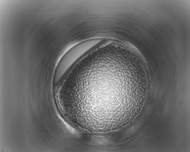 X0000081350855200701182045