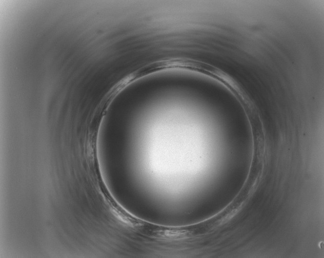 X0000081350857200701182045