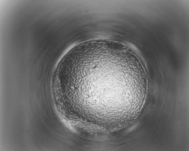 X0000081350859200701182045