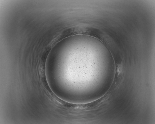 X0000081350867200701182044