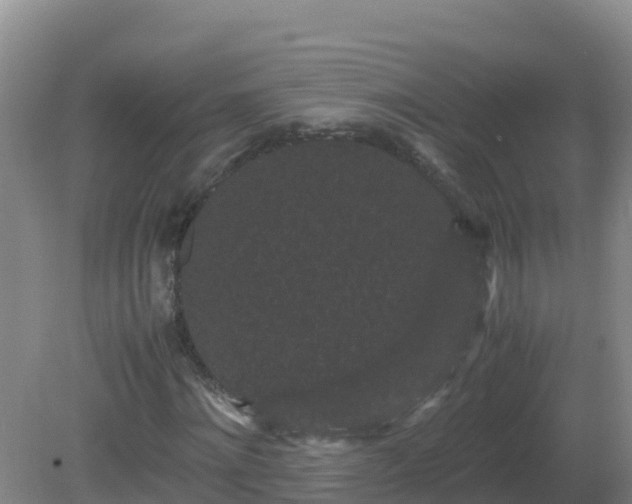 X0000081350868200701182044