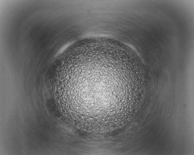 X0000081350871200701182044