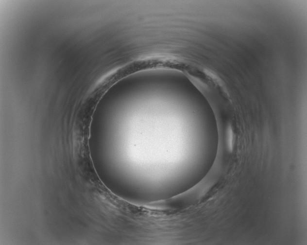 X0000081350872200701182044