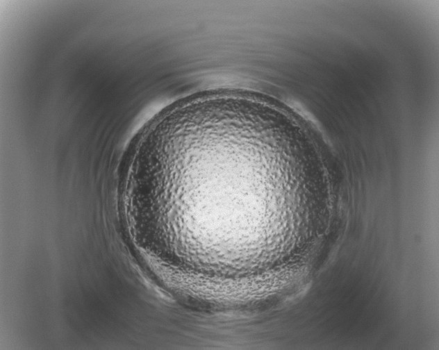 X0000081350877200701182044