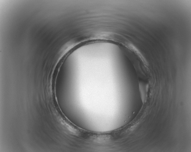 X0000081350884200701182044