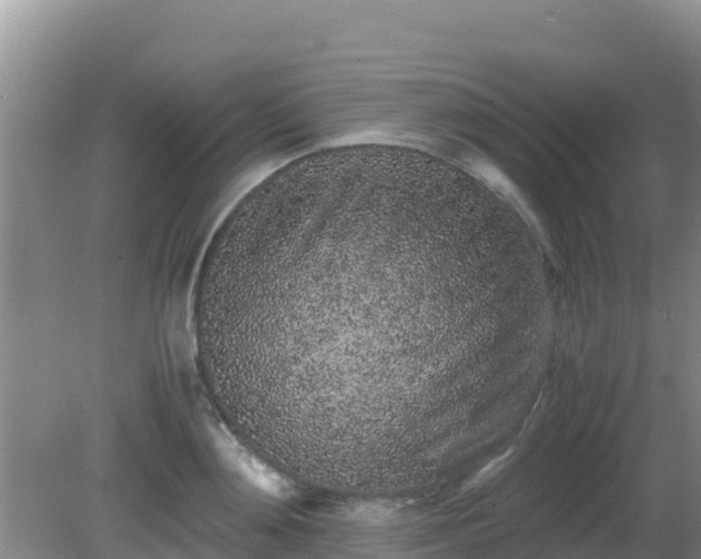 X0000081350892200701182044