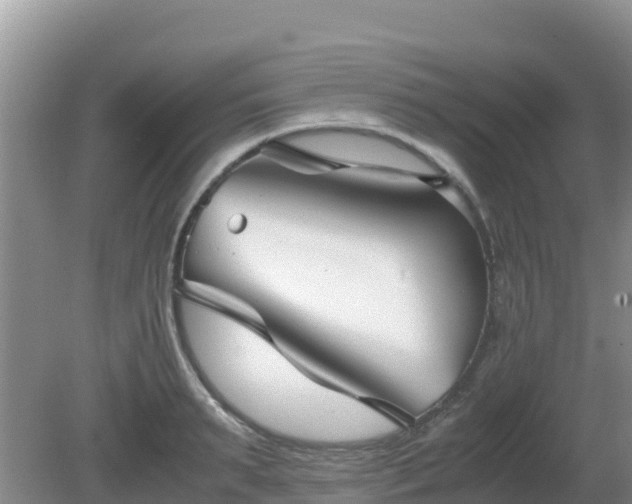 X0000081350895200701182044