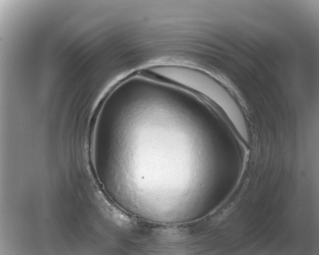 X0000081350896200701182043