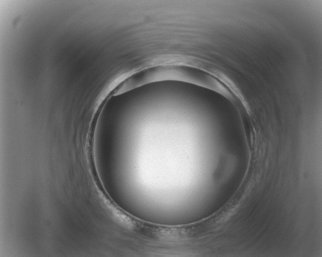 X0000081350901200701182043