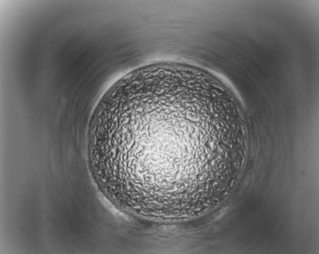 X0000081350903200701182043