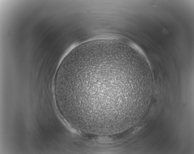 X0000081350907200701182043