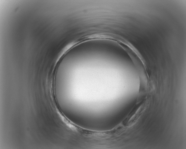 X0000081350909200701182043