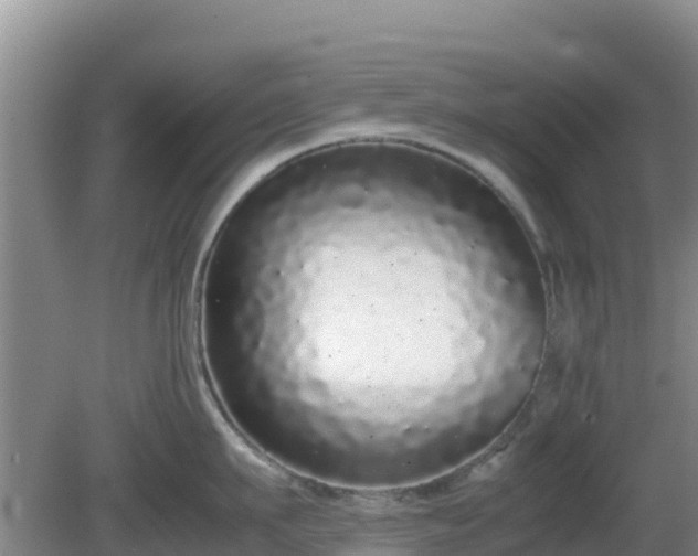 X0000081350911200701182043