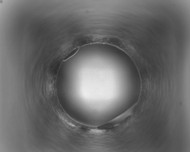 X0000081350914200701182042