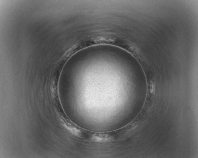 X0000081350915200701182042