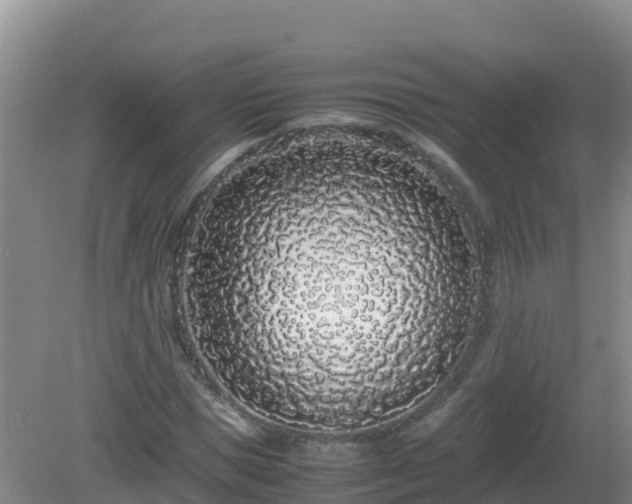 X0000081350921200701182043