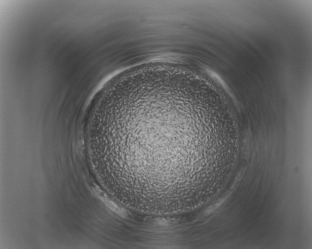X0000081350923200701182043