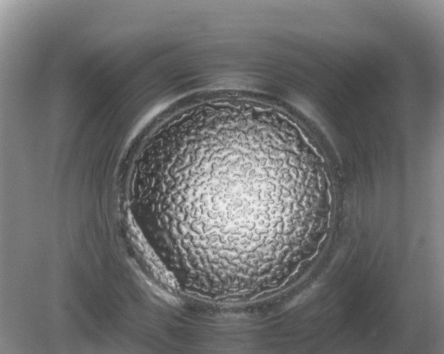 X0000081350925200701182043