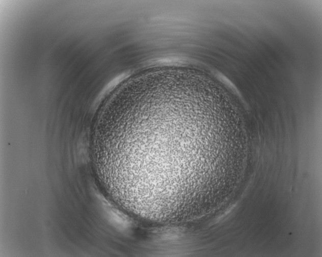 X0000081350930200701182043