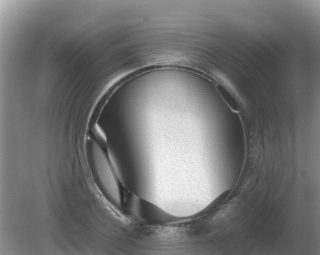 X0000081350932200701182043