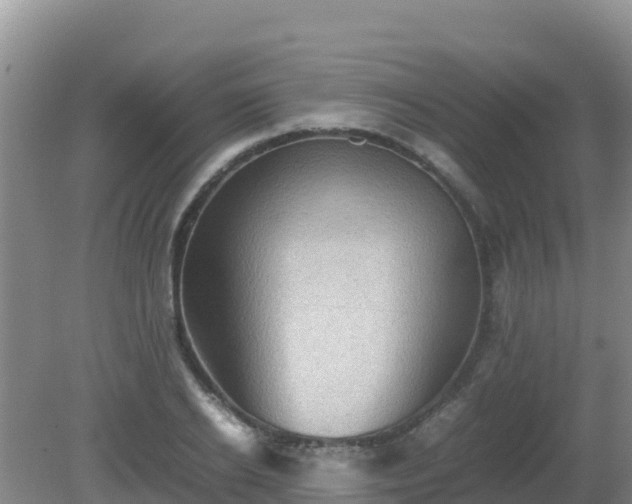 X0000081350934200701182043