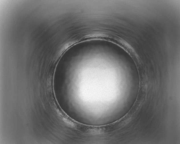 X0000081350937200701182043