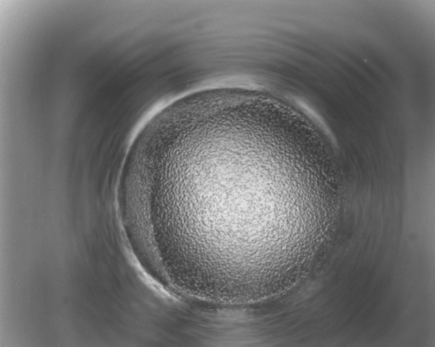 X0000081350944200701182043