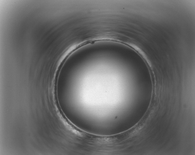 X0000081350949200701182043