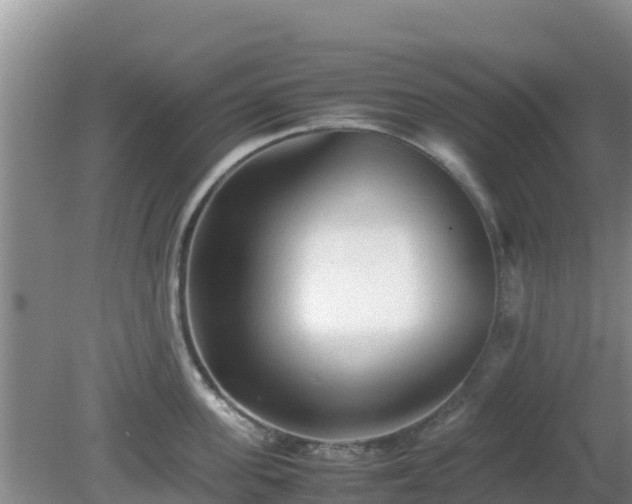 X0000081350955200701182043