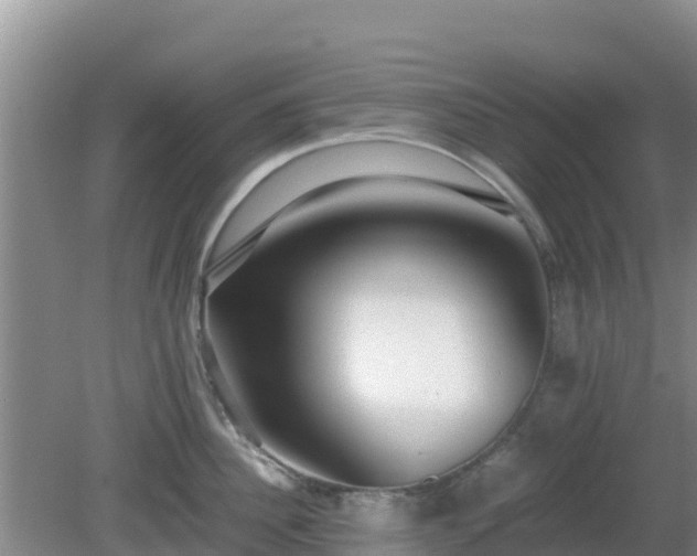 X0000081350956200701182043